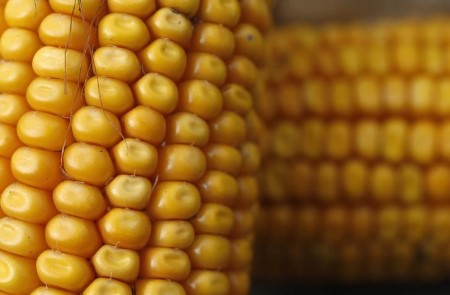 GRAINS-U.S. wheat hits 1-month low, soybeans drop to 3-week low, corn weak