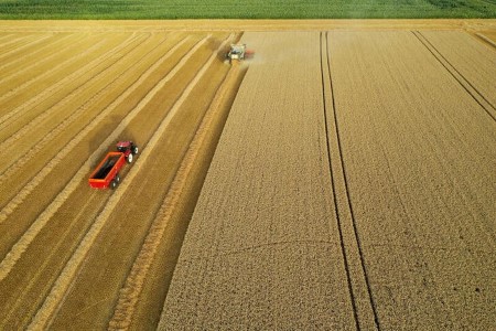 EU crop monitor raises 2021 smooth wheat, barley yield forecasts
