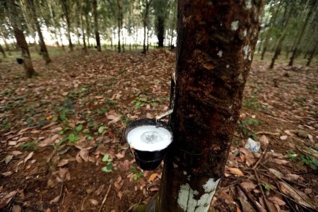 World pure rubber use seen rebounding 7% in 2021