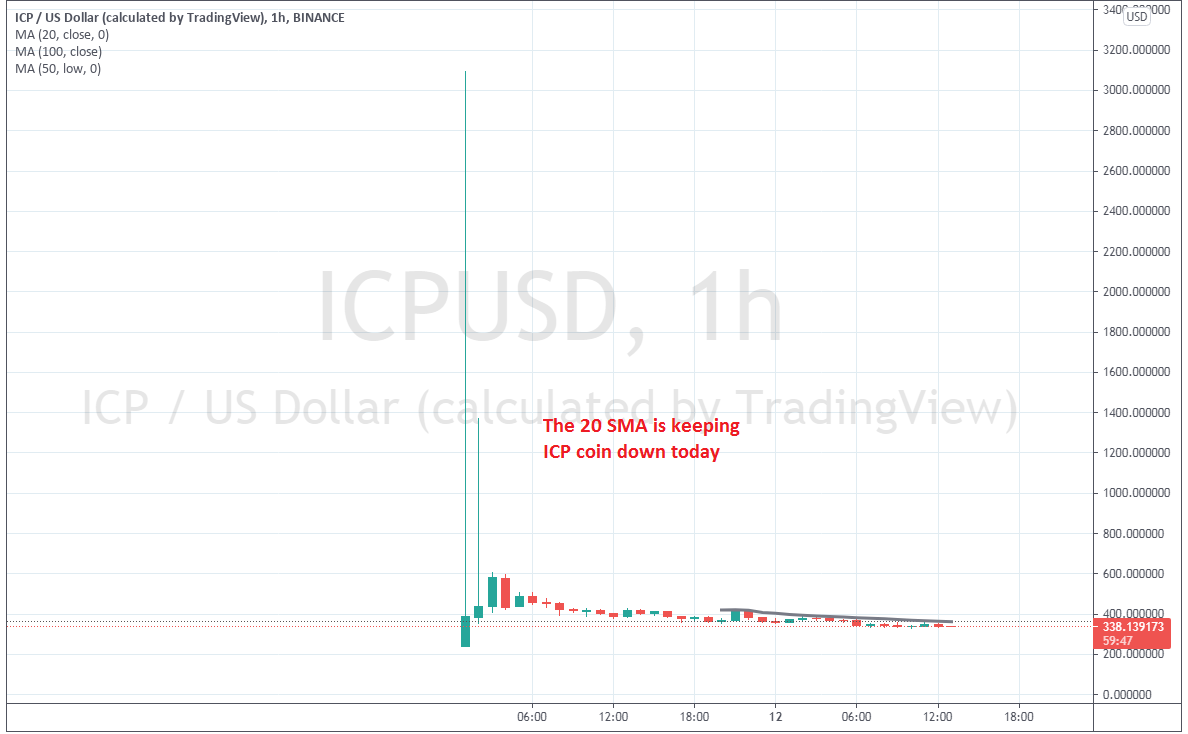 Web Coin ICP Shines on Debut, However Comes Proper Again Down