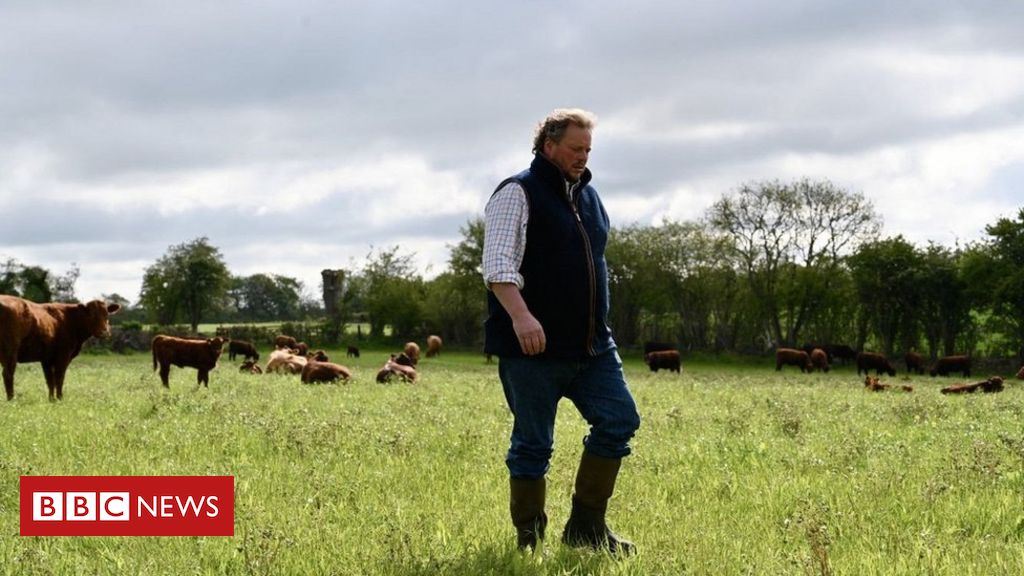 Farmers opposition to UK-Australia commerce deal grows