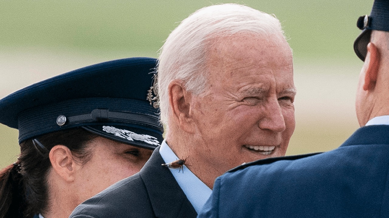 ‘Be careful for the cicadas’: Biden takes a success to the neck as he departs for international journey