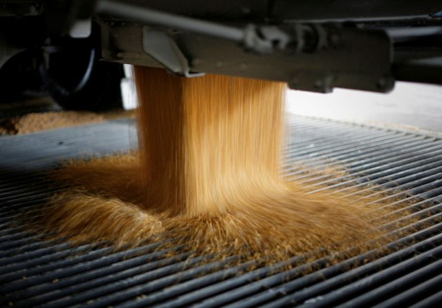 GRAINS-Corn jumps after USDA lifts export, ethanol demand view, cuts shares