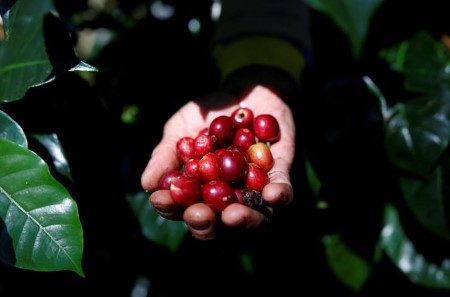 SOFTS-Arabica espresso hits 4-1/2 yr excessive on Brazil drought