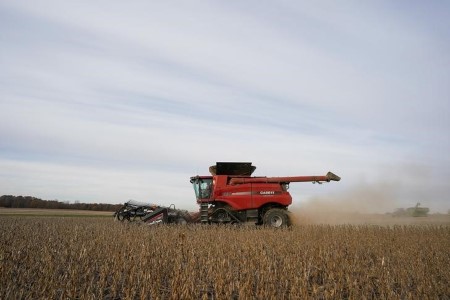 GRAINS-Soybeans, corn ease as merchants eye U.S. climate