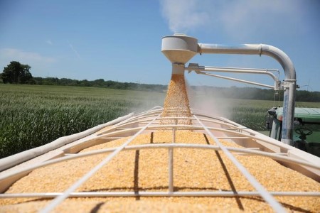 GRAINS-Corn, soy, wheat climb as climate dangers threaten yield