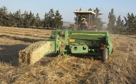 Tunisia expects to reap 1.07 mln tonnes of durum wheat