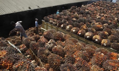 VEGOILS-Palm oil extends losses for fifth day on weaker rivals