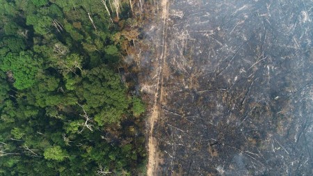 Brazil’s Amazon deforestation surges 67% in Could as Bolsonaro pledges fall flat