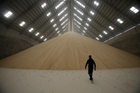 SOFTS-Uncooked sugar hits three-week low as Fed rattles markets