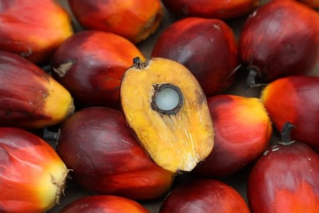 VEGOILS-Palm ticks up on stronger crude costs