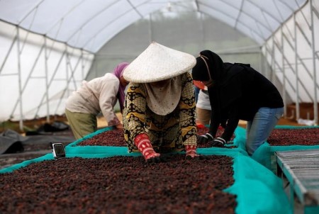 SOFTS-Arabica espresso slips from three-week excessive hit on Brazil frost fears