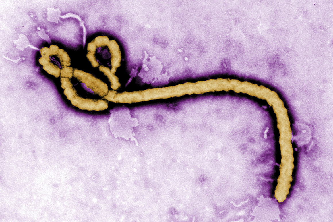 Guinea declares finish to newest Ebola outbreak