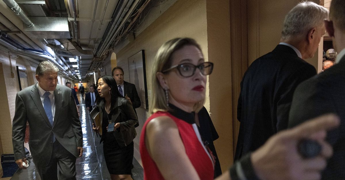 The predetermined defeat of Democrats’ huge voting rights invoice The predetermined defeat of Democrats’ huge voting rights invoice