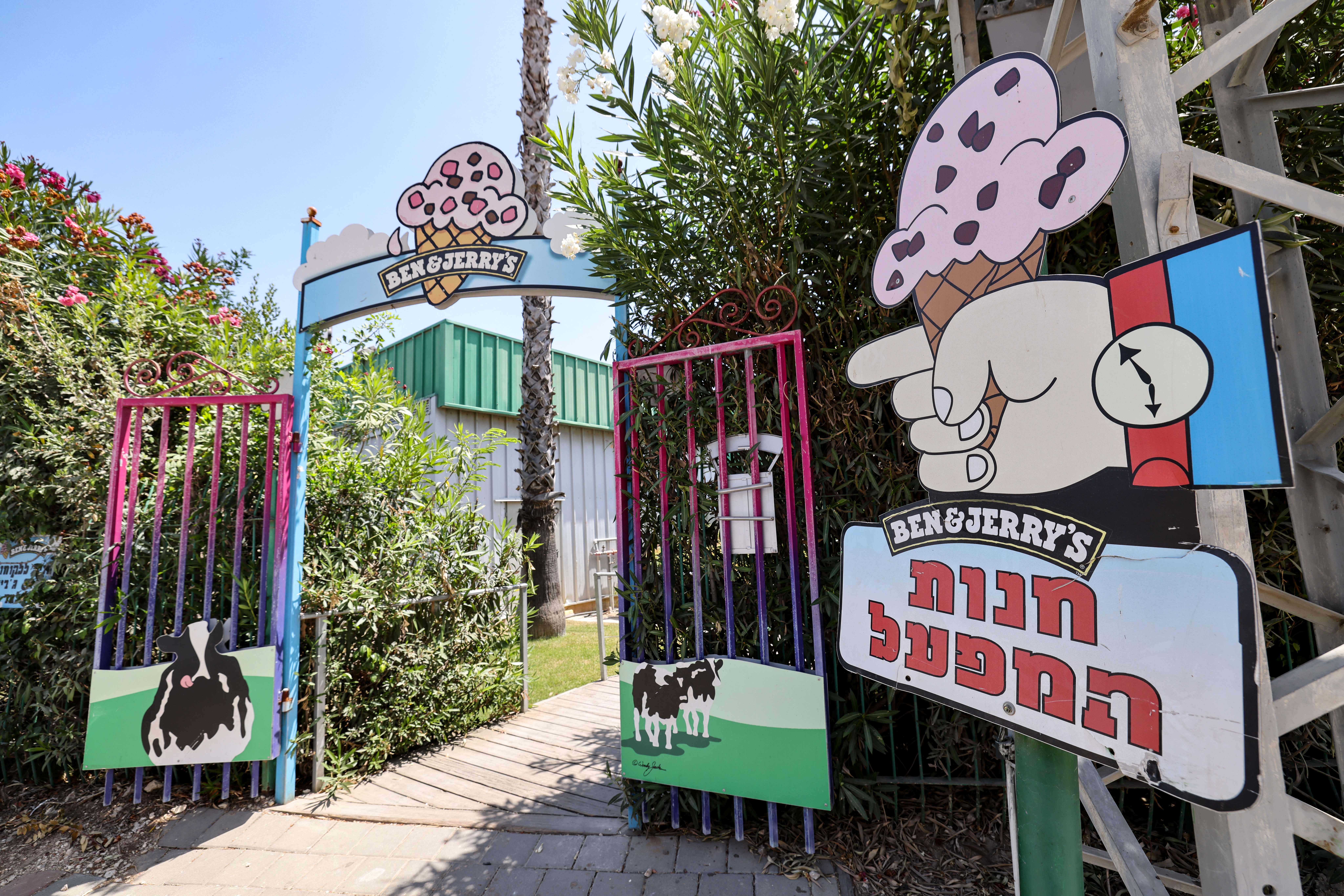 Texas and Florida become involved in Israel’s struggle with Ben & Jerry’s over West Financial institution boycott