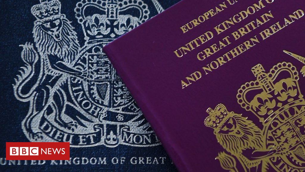 UK citizenship price for Irish in UK 'indefensible'