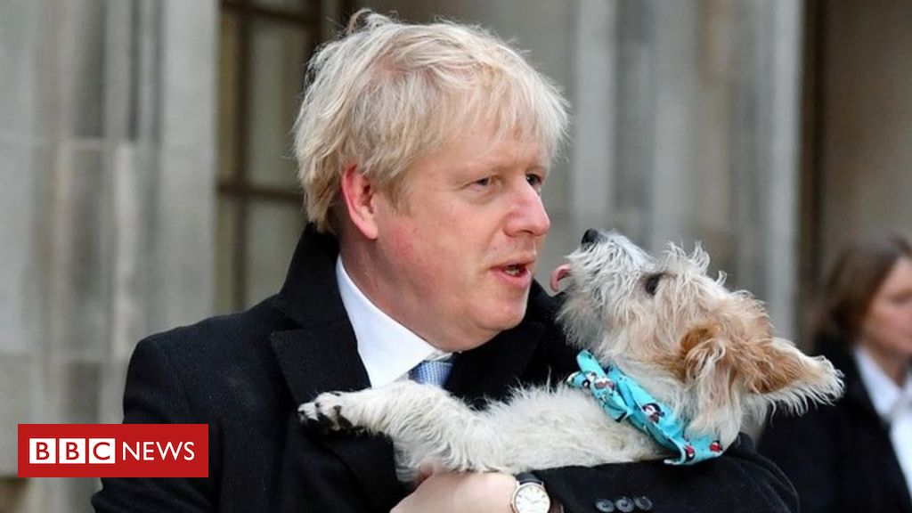 My canine Dilyn can't management his romantic urges, says Boris Johnson