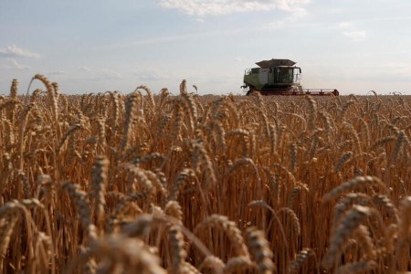 Ukraine 2021 grain crop projected to rise to 75.eight mln T