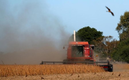 Argentine farmers have bought 23.7 mln tonnes of 2020/21 soybeans -agriculture ministry