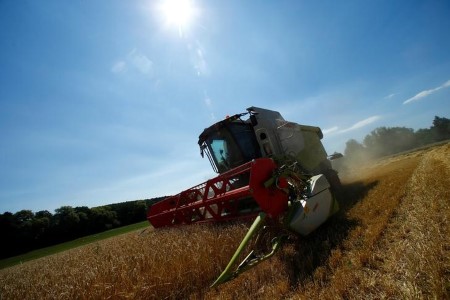 German farmers anticipate to reap extra wheat, rapeseed in 2021