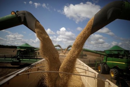 Brazil to spice up grain manufacturing to 333 mln T in 10 years -AgMin