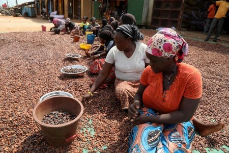 SOFTS-New York cocoa costs regain some floor, sugar slips