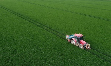 FranceAgriMer sees leap in comfortable wheat exports, shares in 2021/22