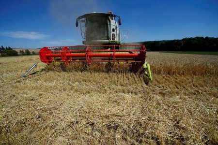 Germany’s 2021 wheat and rapeseed harvest seen up on yr