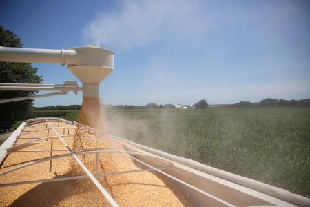 GRAINS-Corn, soybeans strategy two-week highs on U.S. climate worries