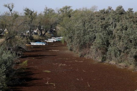 Parched Argentine river cuts into grains exports, environmental worries mount