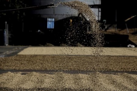 SOFTS-Espresso rallies on transport points, Brazil chilly; cocoa down