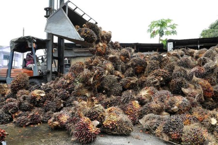 VEGOILS-Palm oil slips on probably decrease exports, weaker ringgit limits losses