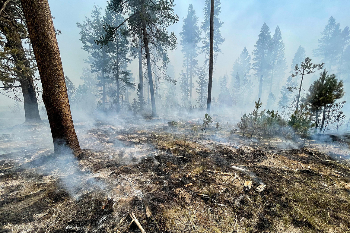 ‘We will see extra’ wildfires, Oregon governor warns ‘We will see extra’ wildfires, Oregon governor warns