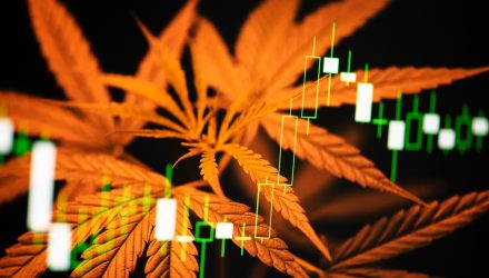 ETFMG Extends Hashish and Leveraged ETF Lineup with ‘MJXL’