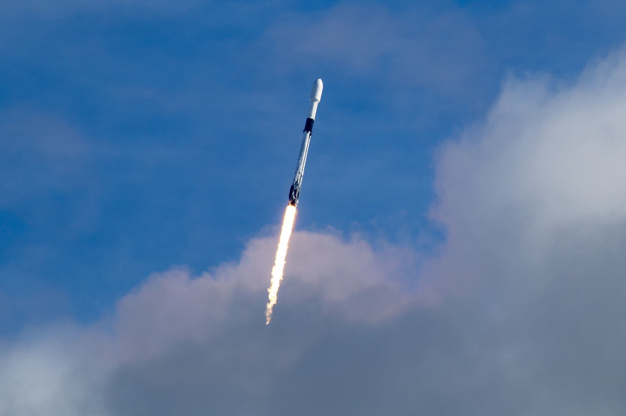 SpaceX buying satellite tv for pc information start-up Swarm Applied sciences