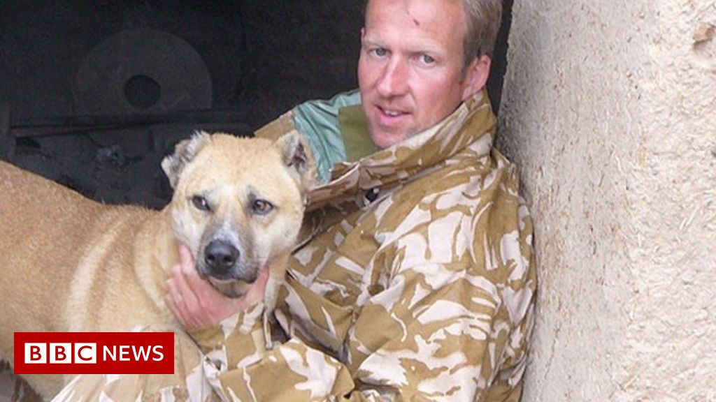 Afghanistan: UK gives to assist evacuate rescue animals and workers