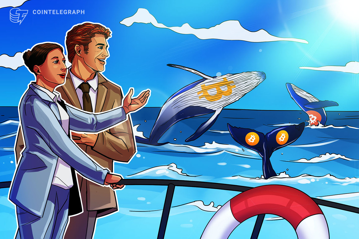 Bitcoin whales be part of ‘small fish’ in shopping for BTC as value holds above $47Okay