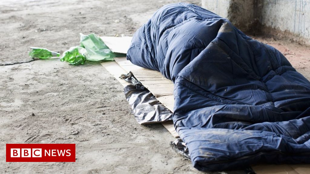 Covid homeless scheme not resulting in everlasting lodging, warns charity