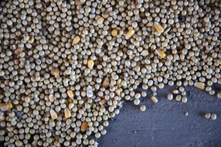 GRAINS-Soybeans, corn drop round 1% on demand issues; wheat eases