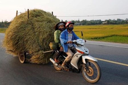 Vietnam plans to stockpile rice as coronavirus curbs hit farmers