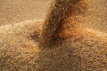 GRAINS-Soybeans fall on improved crop outlook, forecast