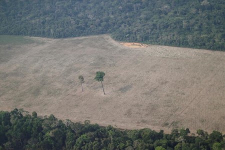 Bolsonaro’s ‘land seize’ invoice passes Brazil’s decrease home