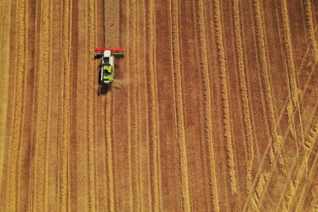 GRAINS-Wheat slips; set for second weekly bounce on world provide issues
