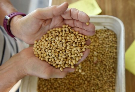 GRAINS-Soybeans climb on exports, finish week decrease