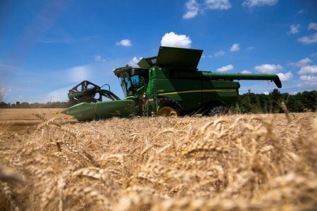 GRAINS-Wheat eases forward of USDA report; corn, soybeans fall