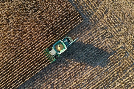 COLUMN-Crop Watch: One other dry week nicks corn yield potential – Braun