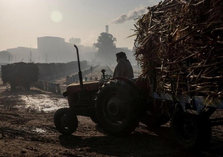 Indian mills gear as much as make uncooked sugar for export as international costs rally