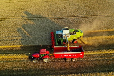 French delicate wheat harvest nears finish after scorching spell