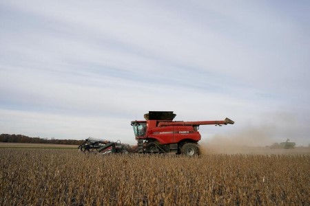 GRAINS-Soybeans edge decrease, U.S. crop situations cap losses