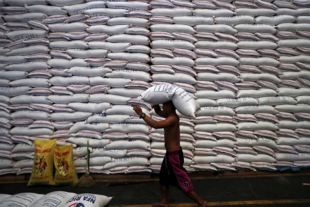 Philippines approves business use of genetically engineered rice